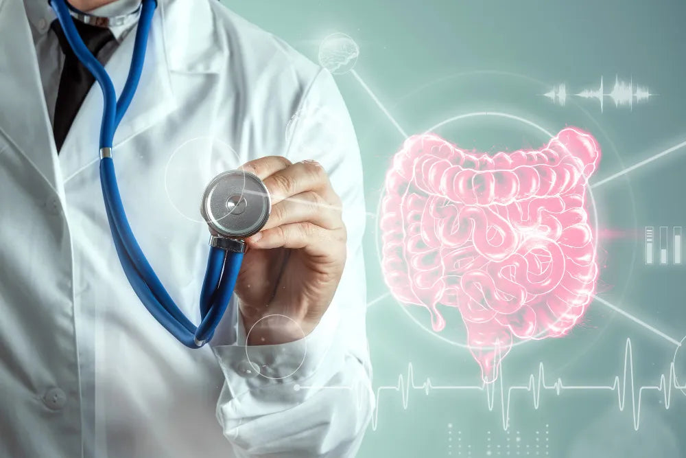 The Gut-Brain Connection: NMN and Digestive Health