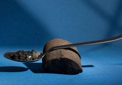 Benefits of Shilajit for Women: Improve Hormones, Energy, and Mood